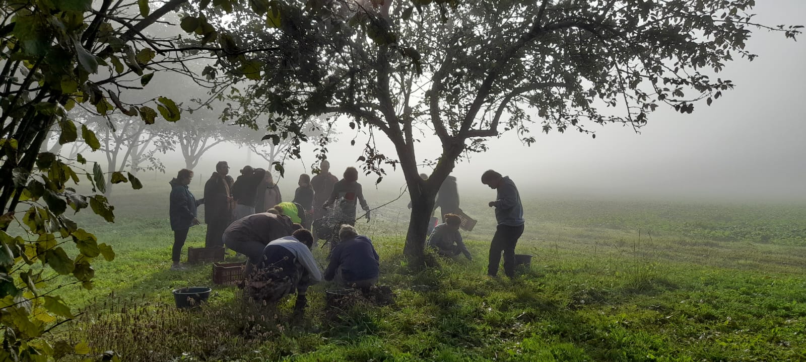 Le temps fort de l'hiver : l'arboriculture durable avec Evelyne Leterme !